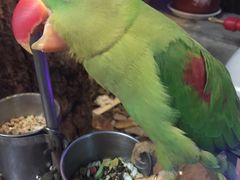 -丽江庭院之丽江往事(安定门店)