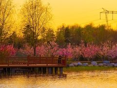 -张家湾公园