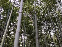 -四门塔风景区