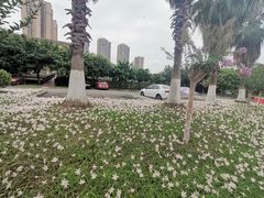 -府河摄影公园