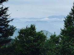 -白草畔自然风景区