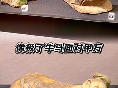 -四川大学博物馆
