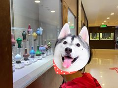 -云洲古玩城(大木桥路店)