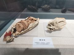 -巴音郭楞蒙古自治州博物馆