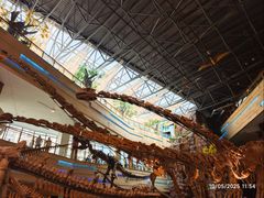 -安徽省地质博物馆