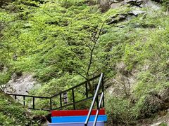 -少华山国家森林公园