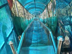 -王顺山国家森林公园