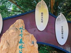 -风云岭森林公园