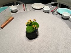 -南堂馆·新川菜(春熙路店)