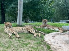 -北京野生动物园