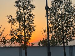 -两河城市森林公园