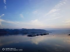 -刘家峡水库
