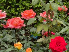 -大望路(地铁站)