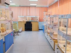 -翊宠yipet猫狗购宠庄园犬舍•猫舍