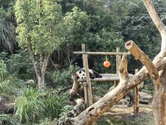-宁波野生动物园