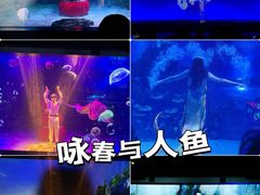 -顺德南宏海立方海洋公园