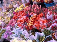 -循礼门鲜花花市(武汉循礼门店)