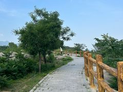 -白水寺森林公园