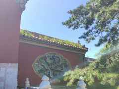 -北陵公园