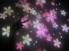 -新江湾城公园