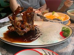 -新白鹿餐厅(松江开元地中海店)