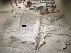 -洛阳周王城天子驾六博物馆