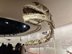 -自贡恐龙博物馆