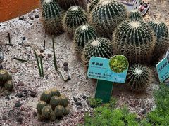 -正佳雨林生态植物园