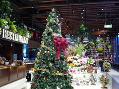-咖梦餐厅 COMENG RESTAURANT