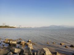 -深圳湾公园(南山区)