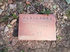 -长春世界雕塑园