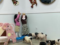 -猪盟咖啡店(玖洲道店)