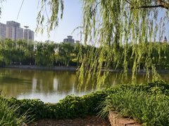 -南翠屏公园