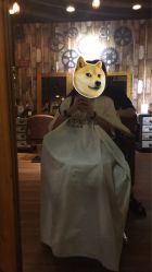 -藤野造型·专业烫染店
