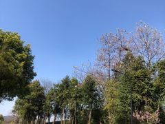 -幸福湖国际会议中心