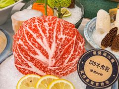 -喜聚薈·花膠雞海鮮火鍋(越秀店)