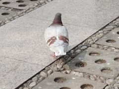 -泉城广场