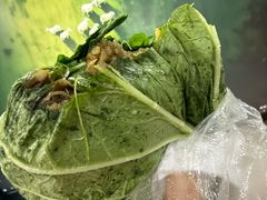 -蘸小院铁锅炖·蘸酱菜·东北菜(怀远门店)
