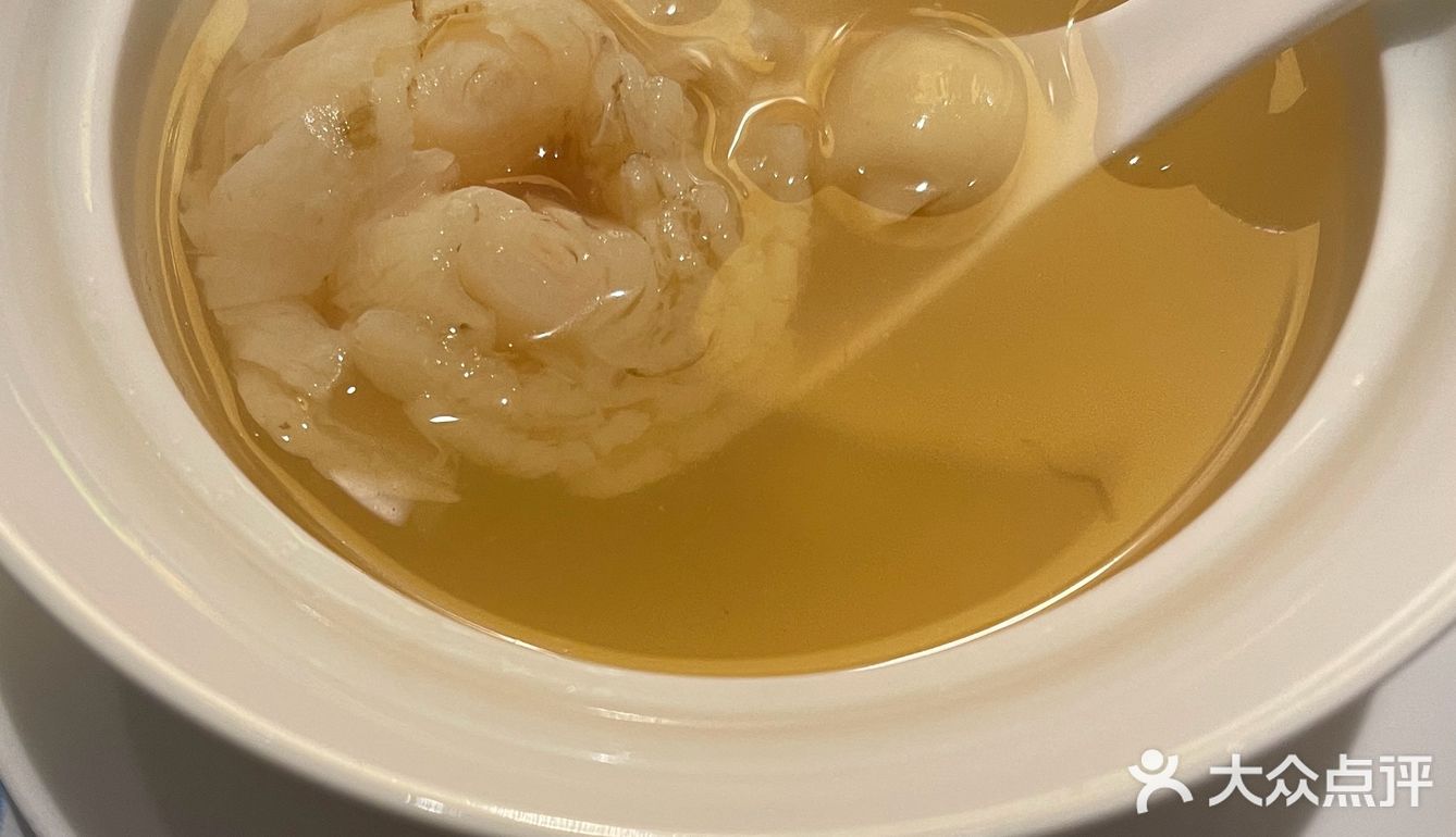 胶原蛋白的沾合力