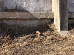 -北京西山滑雪场