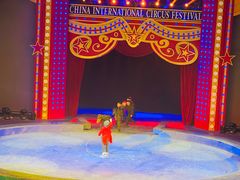 -珠海横琴长隆《卡卡虎奇遇记》