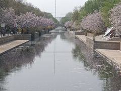 -海棠花溪(元大都城垣遗址公园)