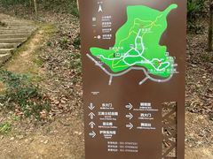 -上海佘山国家森林公园天马山园