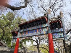 -北京国子监胡同