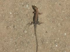 -蟠龙山长城景区