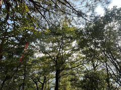 -萍乡武功山风景名胜区