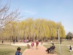 -长春公园(普阳街道)