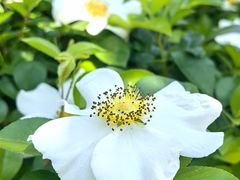 -江渔儿酸菜鱼(曜一城店)