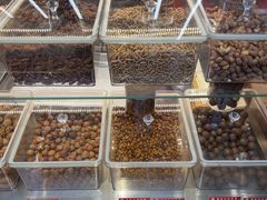 -小宝栗子(嘉华国际商业中心店)