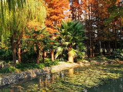 -苏州河梦清园环保主题公园